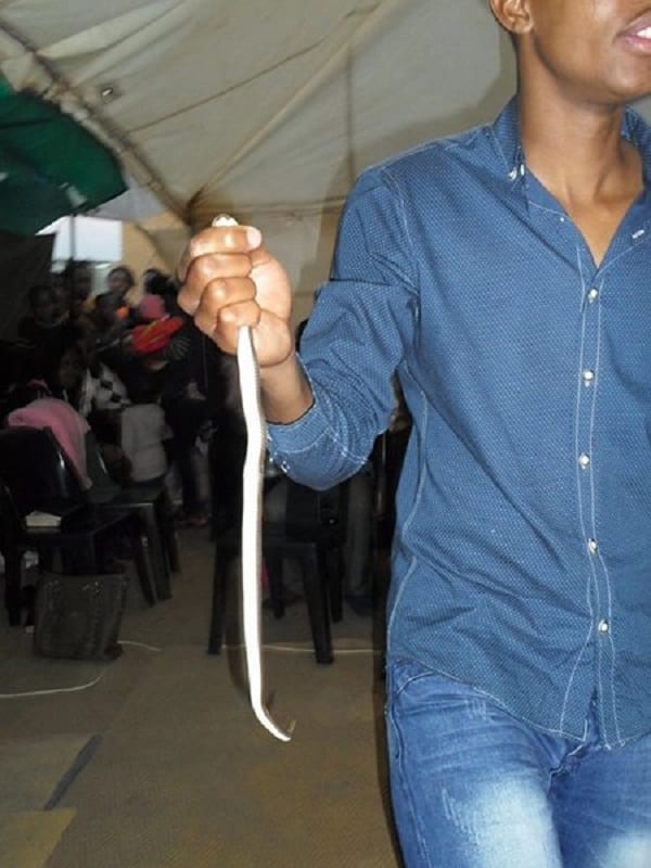 Ce pasteur Sud-Africain fait manger des serpents vivants et des pierres à ses fidèles: PHOTOS