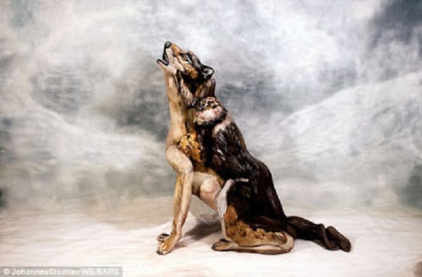 Un artiste peintre transforme trois femmes nues en un loup hurlant