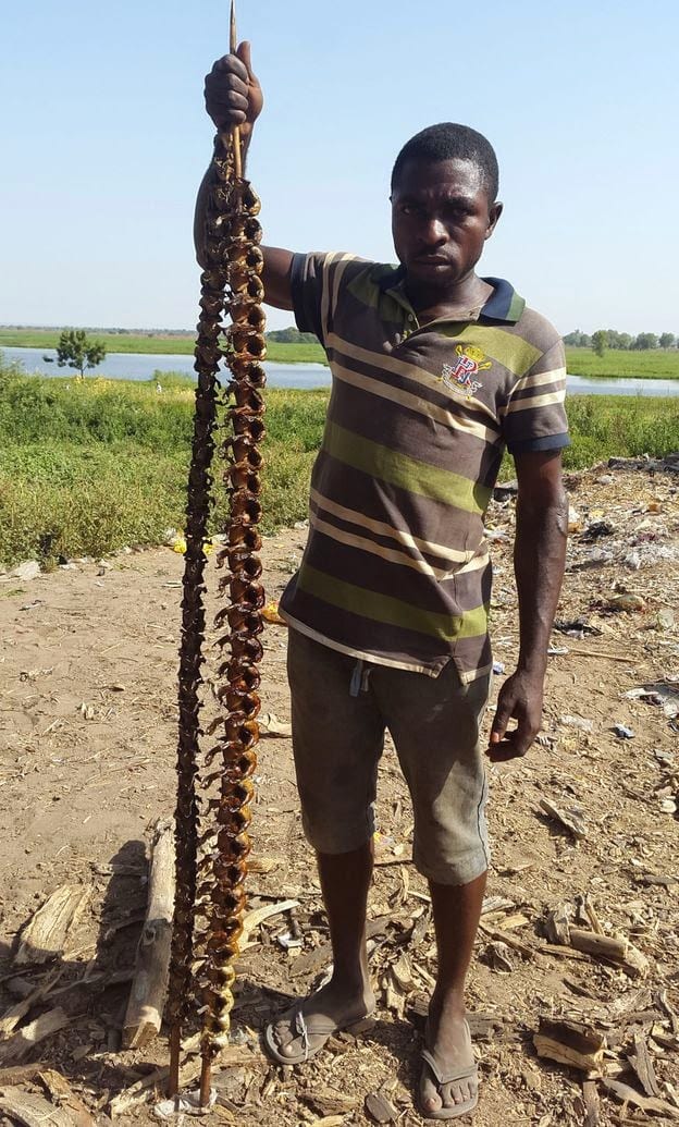 Nigeria: les grenouilles fumées seraient un délice culinaire pour certains(photos)