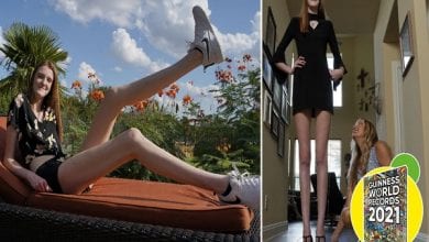 woman-with-longest-legs-lying-on-a-chair-and-being-measured_tcm25-633441