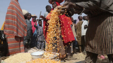 Les-pays-africains-qui-souffriront-le-plus-de-la-faim-en-2024