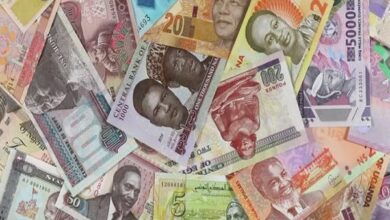 la monnaie la plus performante d’Afrique