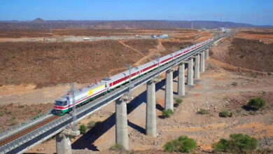 Les-pays-africains-avec-la-plus-longue-ligne-ferroviaire