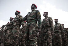 Les-reserves-militaires-en-Afrique