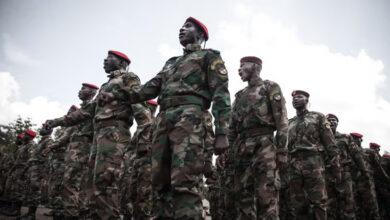 Les-reserves-militaires-en-Afrique