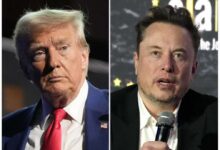 Donald-Trump-nomme-Elon-Musk