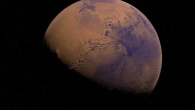 un visage humain capturé sur Mars par la NASA